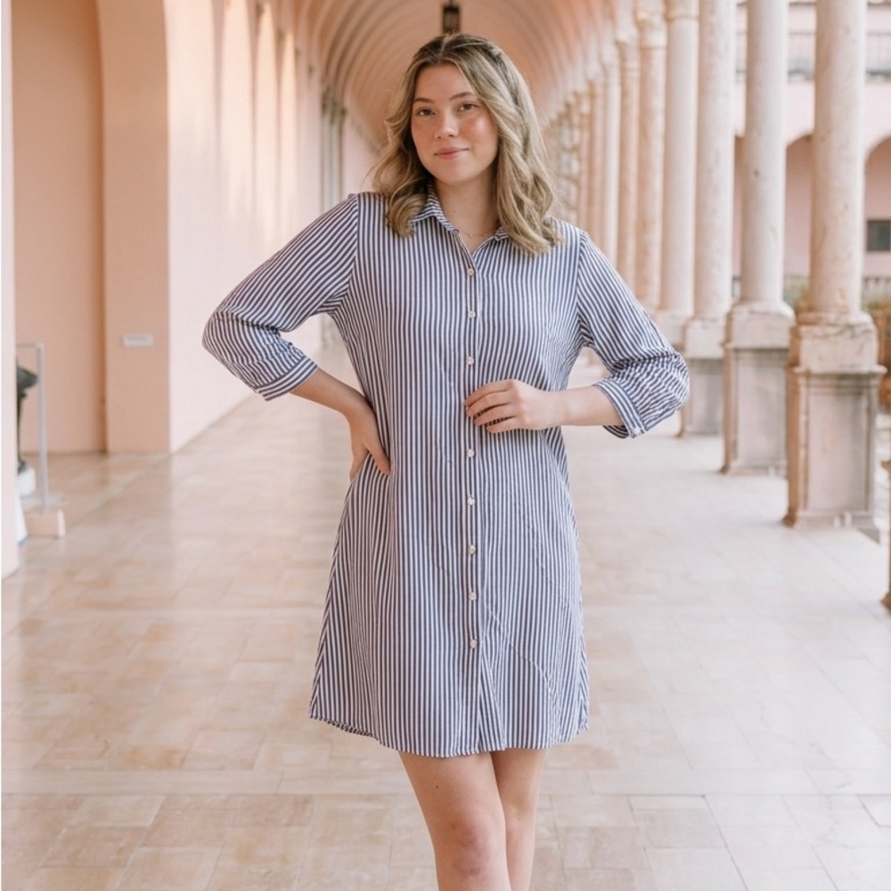 MSK Blue and White Striped Button-Front Shirt Dress